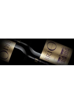 Chateau Cantenac Brown Brio